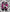 VANS "Pearlized Pink Pack" Complex Con Exclusive